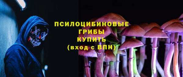spice Алексин