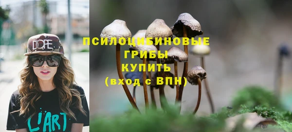 spice Алексин