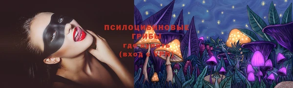 сатива Алексеевка