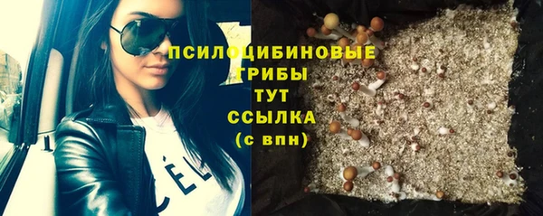 сатива Алексеевка