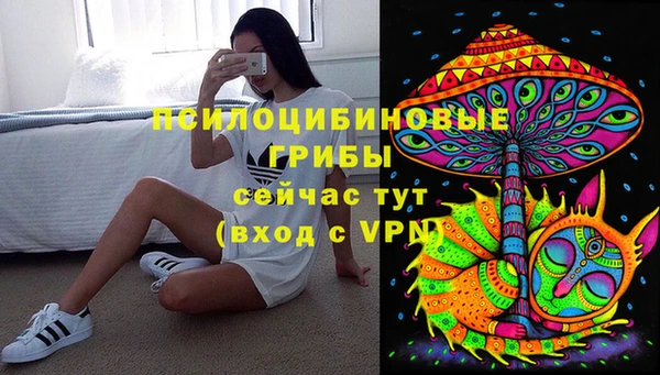 сатива Алексеевка