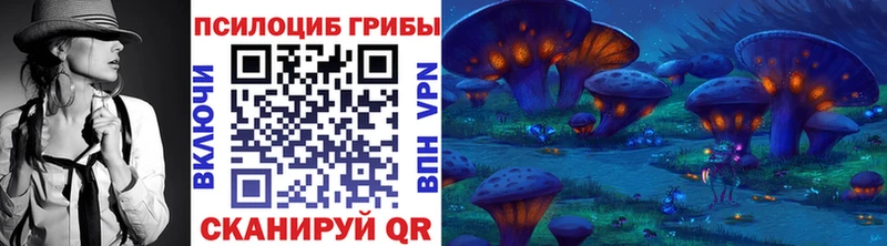 shop телеграм  Электрогорск  Псилоцибиновые грибы мухоморы 