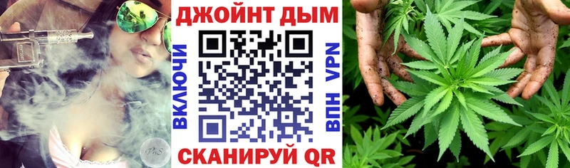 наркота  Электрогорск  Бошки марихуана конопля 